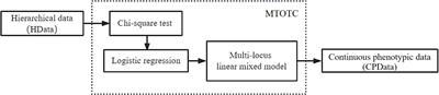 Improving power of genome-wide association studies via transforming ordinal phenotypes into continuous phenotypes